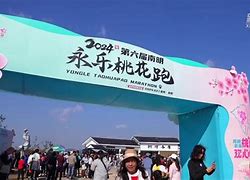 公鸡下蛋跑步音乐下载-(公鸡下蛋游戏音乐mp3)